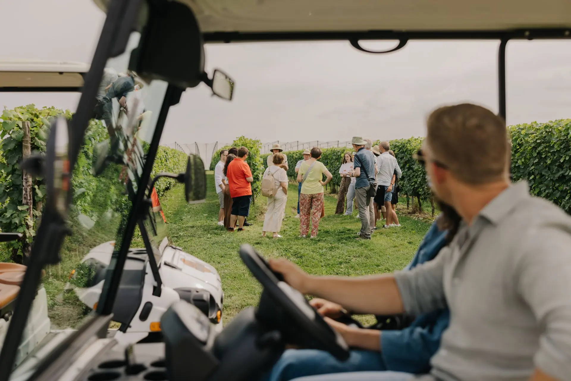 Gasten proeven wijn tussen de wijngaarden tijdens een Wijnsafari in Haspengouw